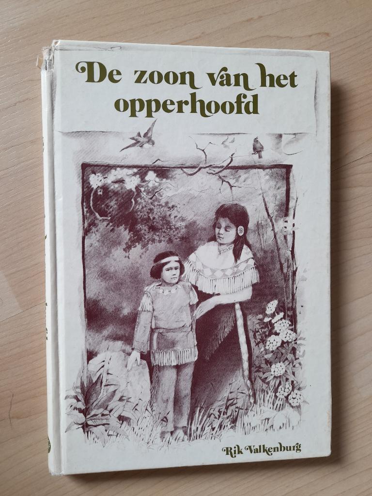 DE ZOON VAN HET OPPERHOOFD Rik Valkenburg, Ophalen of Verzenden, Gelezen, Fictie algemeen