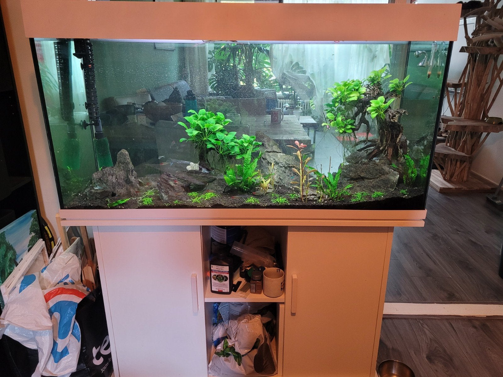 245 L compleet aquarium, Ophalen, Gebruikt, Overige merken, Inclusief vissen