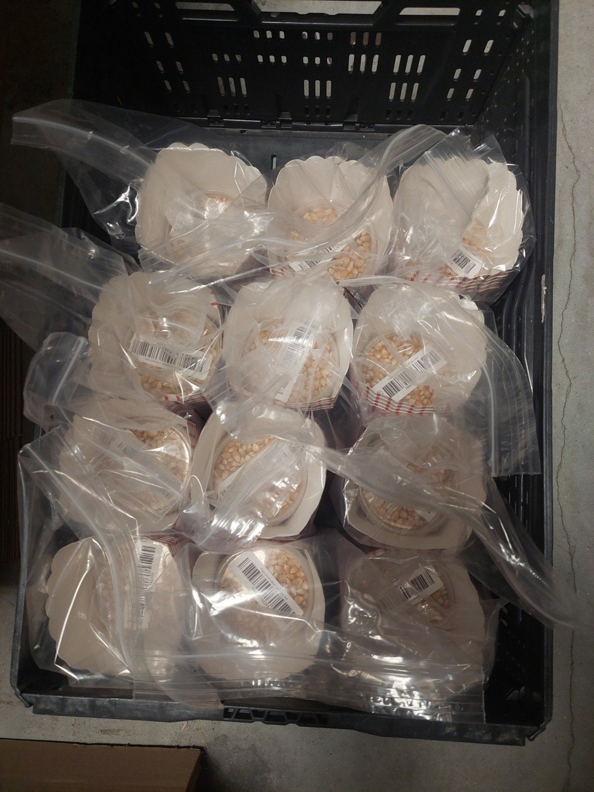 12 bakjes met maiskorrels + 60 popcorn bekers - in 1 koop, Ophalen of Verzenden