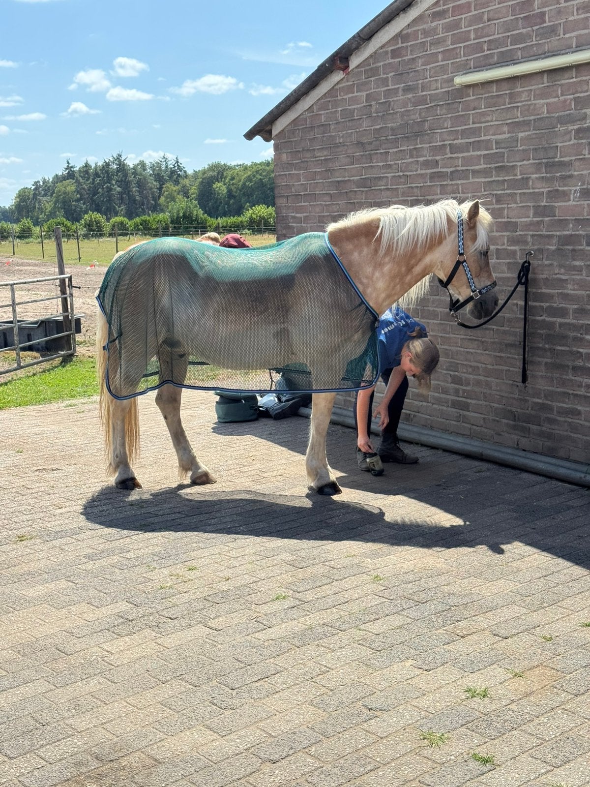 Bijrijder gezocht in Hengelo gld, Ophalen of Verzenden, Nieuw
