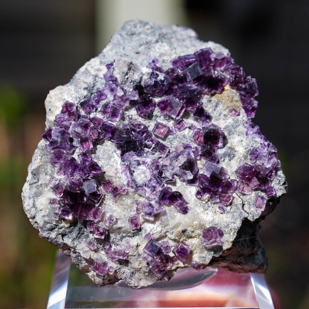 Fluoriet uit Saint Peray, Ardeche, Frankrijk #2, Ophalen of Verzenden, Mineraal