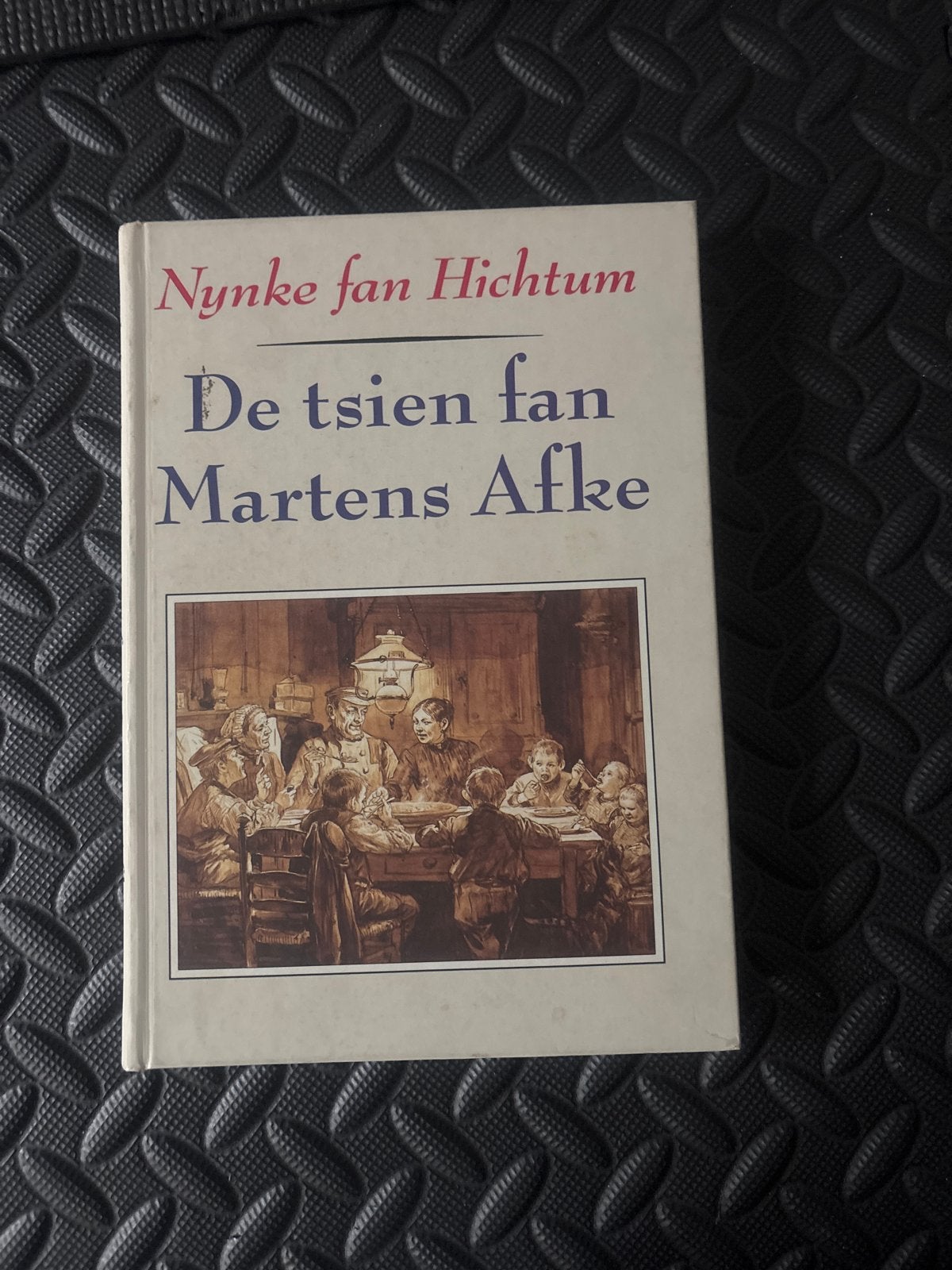 Nynke van Hichtum - De tsien fan Martens Afke, Ophalen of Verzenden, Zo goed als nieuw, Nederland