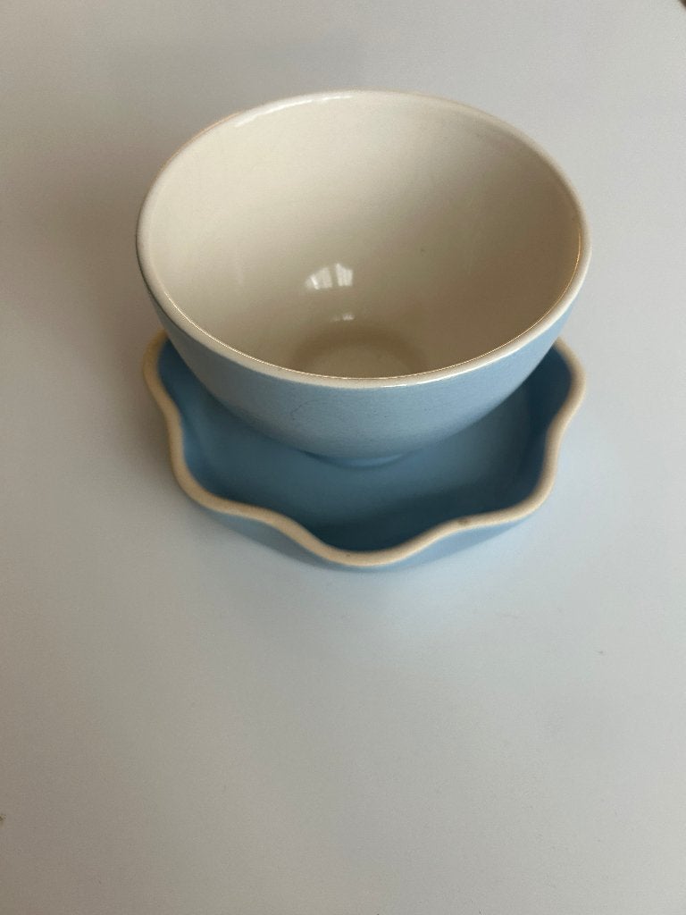 Pickwick Theekopje en Schotel jaren 70 nieuwstaat   21092026, Ophalen