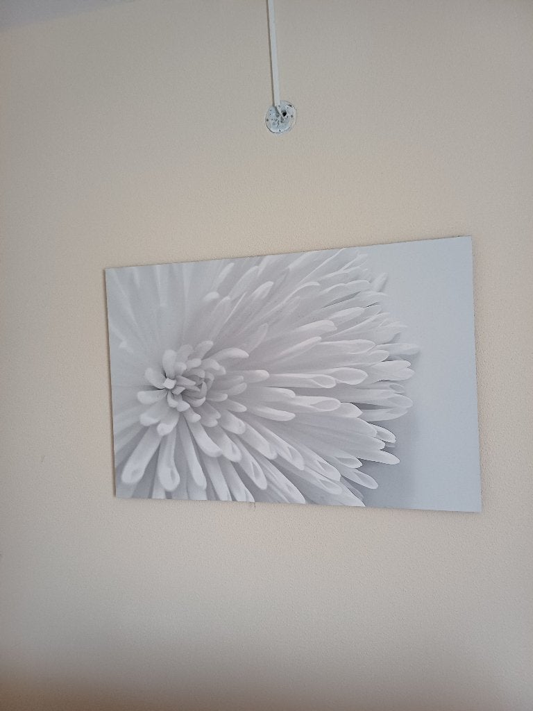 Fotoschilderij, Huis en Inrichting, Woonaccessoires | Schilderijen, Tekeningen en Foto's, Ophalen, Gebruikt, Schilderij, Minder dan 50 cm