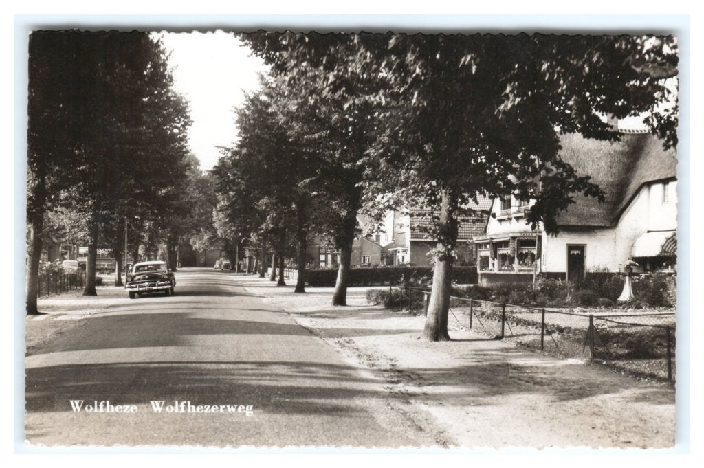 Wolfheze, Wolfhezerweg, Ophalen of Verzenden, 1940 tot 1960, Gelopen, Gelderland