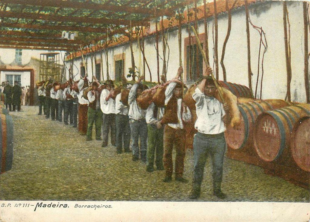 701-279-025 Madeira Borracheiros, Verzenden, Voor 1920, Overig Europa