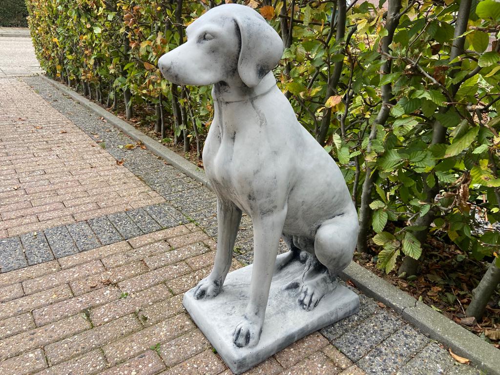 Engelse Jachthond ,Pointer,Weimaraner, Ophalen, Nieuw, Beton, Dierenbeeld