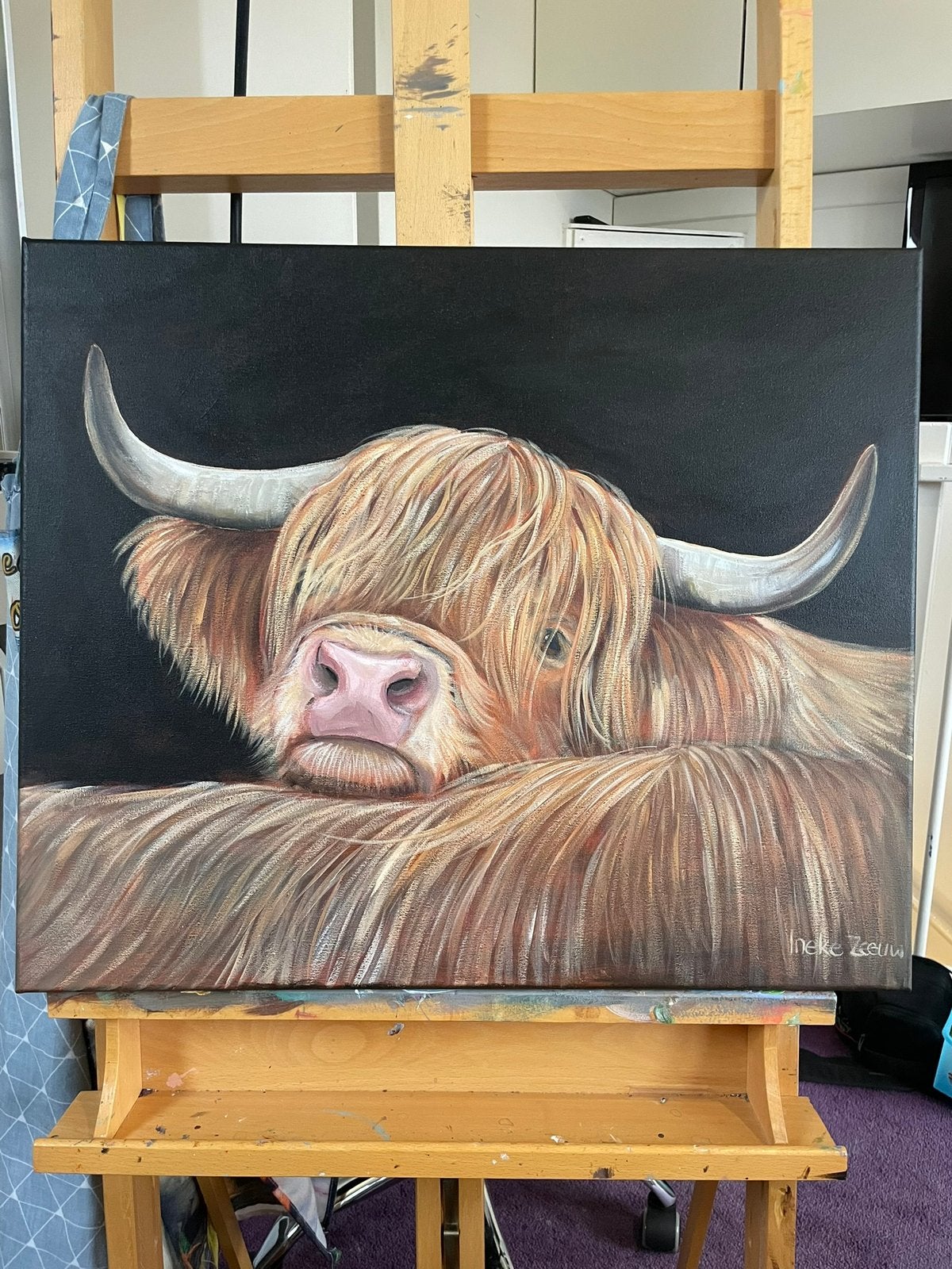 Schilderij schotse hooglander acrylverf op canvas, Acrylverf, Met textuur, Ophalen of Verzenden, Dieren