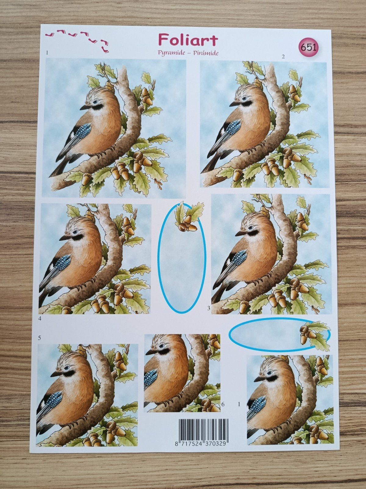 Piramide vogel op stok Knipvellen,, Ophalen of Verzenden, Nieuw, Natuur, Knipvel