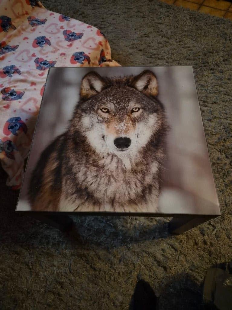 Bijzettafeltje, Gebruikt, Wolf, Vierkant, 55 tot 75 cm
