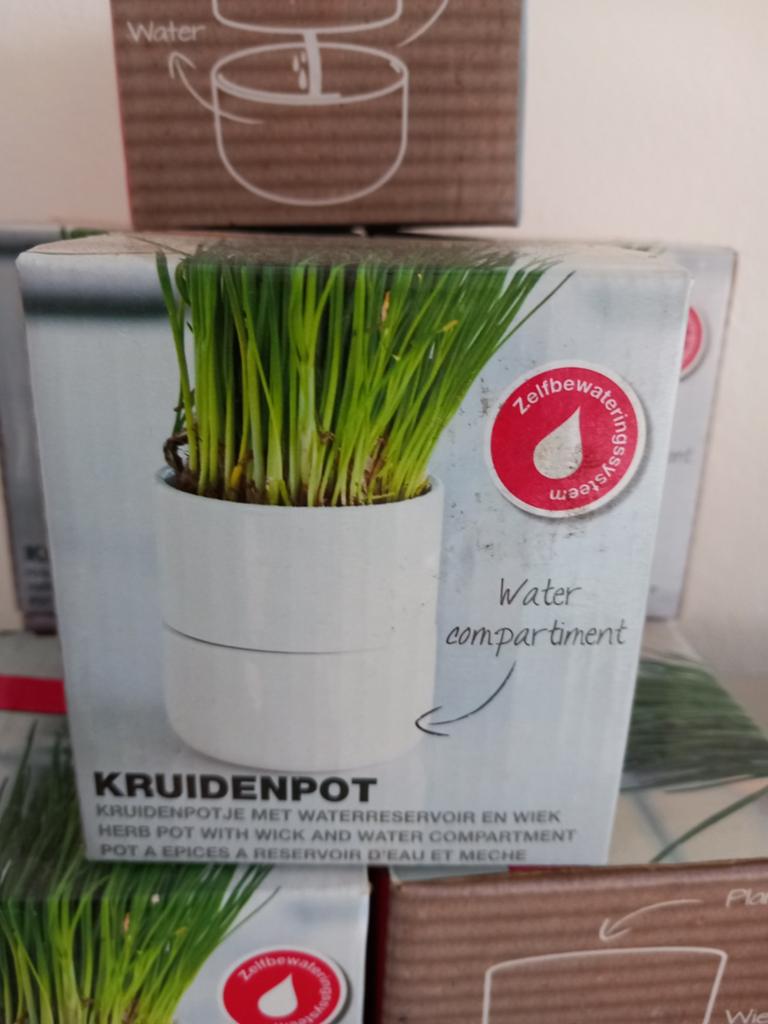 Kruidenpot met zelfbewateringssysteem - Nieuw!, Tuin en Terras, Bloembakken en Plantenbakken, Steen, Minder dan 30 cm, Minder dan 60 cm