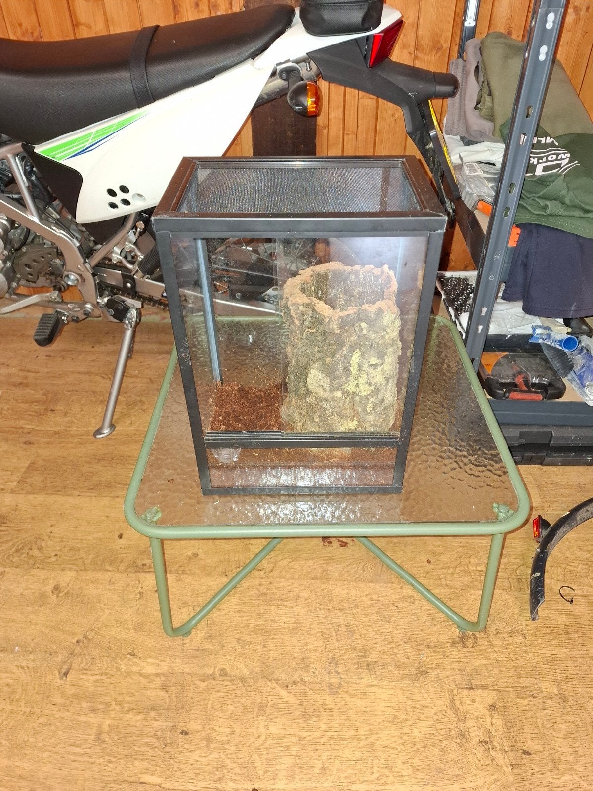 kant-en-klaar terrarium voor spinnen