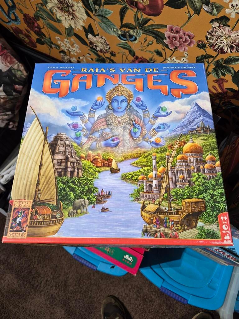 Raja's van de ganges   in zeer goede staat, Hobby en Vrije tijd, Gezelschapsspellen | Bordspellen, Ophalen of Verzenden, Zo goed als nieuw