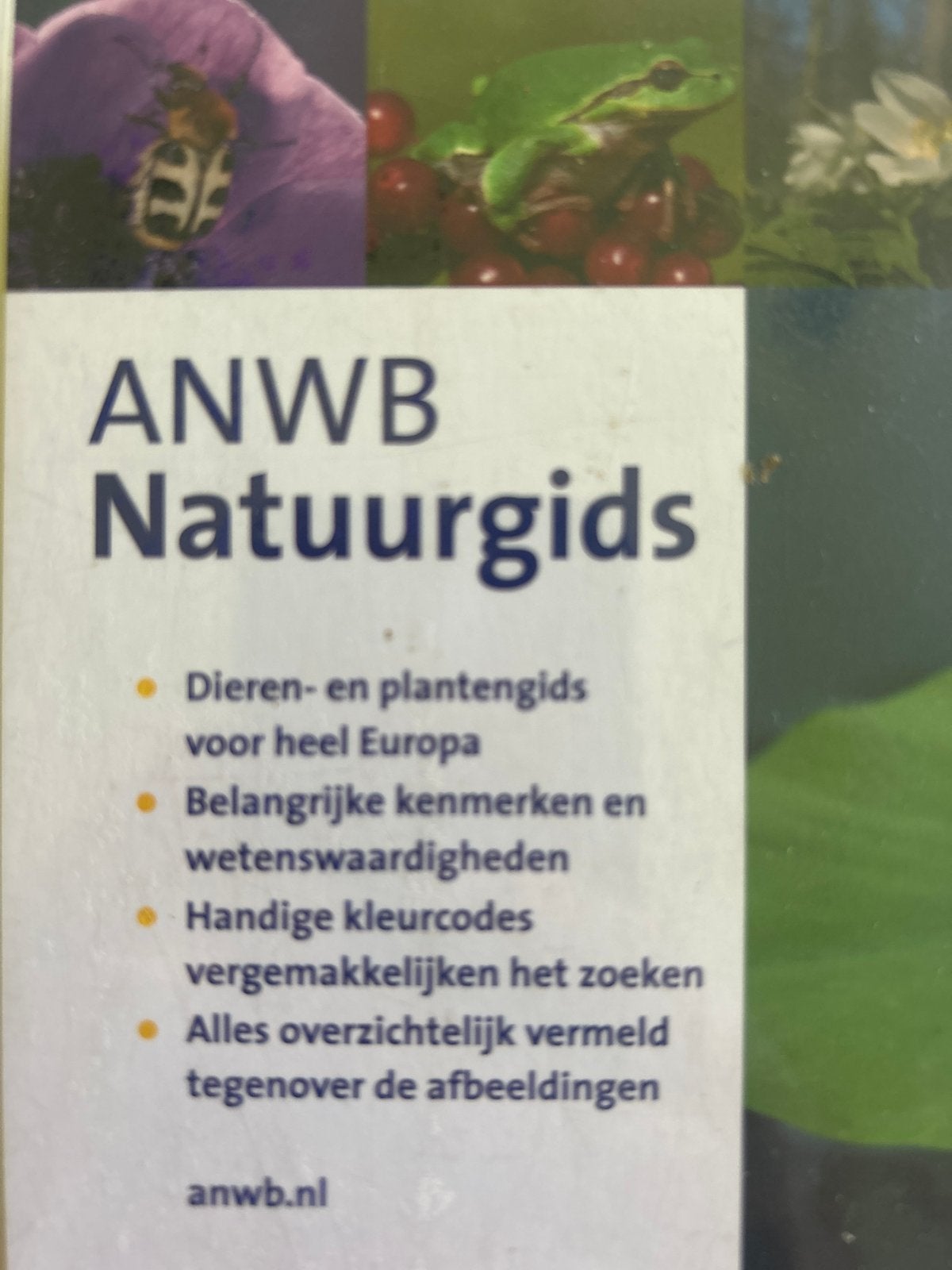 ANWB Natuurgids: Dieren- en plantengids voor heel Europa, Boeken, Ophalen of Verzenden, Gelezen, Natuur algemeen