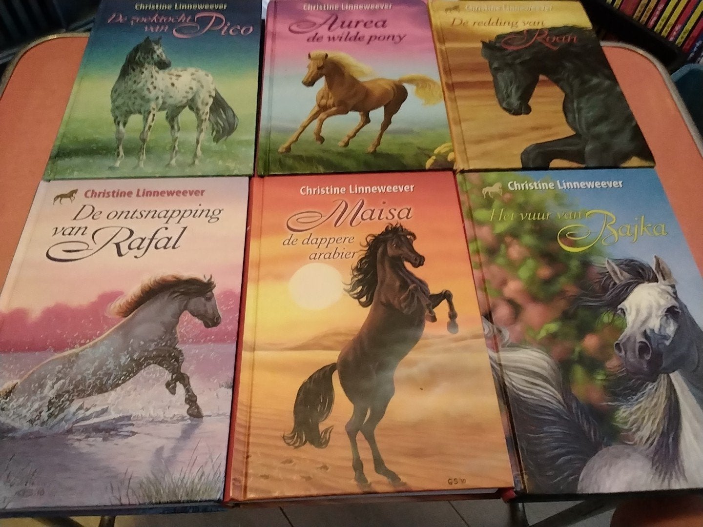 Christine linneweever 9 + € 5 per stuk zie omschrijving, Ophalen of Verzenden, Zo goed als nieuw, Fictie algemeen