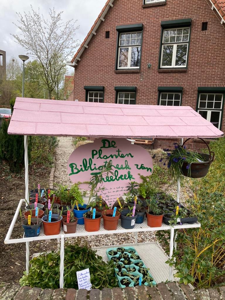 GEZOCHT: planten voor plantenbibliotheek, Tuin en Terras, Ophalen of Verzenden, Overige soorten, Volle zon