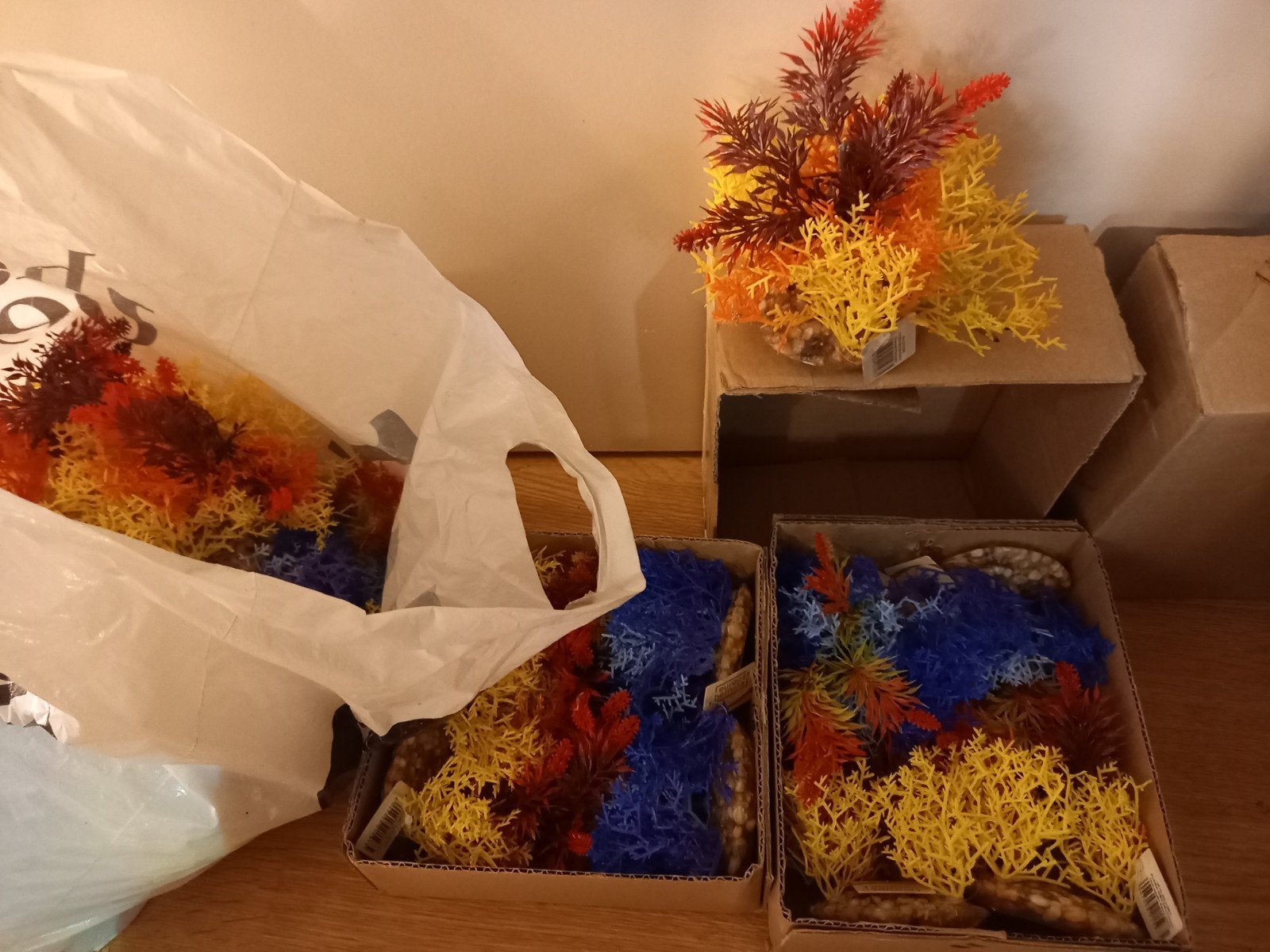 aquariumplanten, Dieren en Toebehoren, Ophalen of Verzenden, Nieuw, Plant(en), Steen of Hout