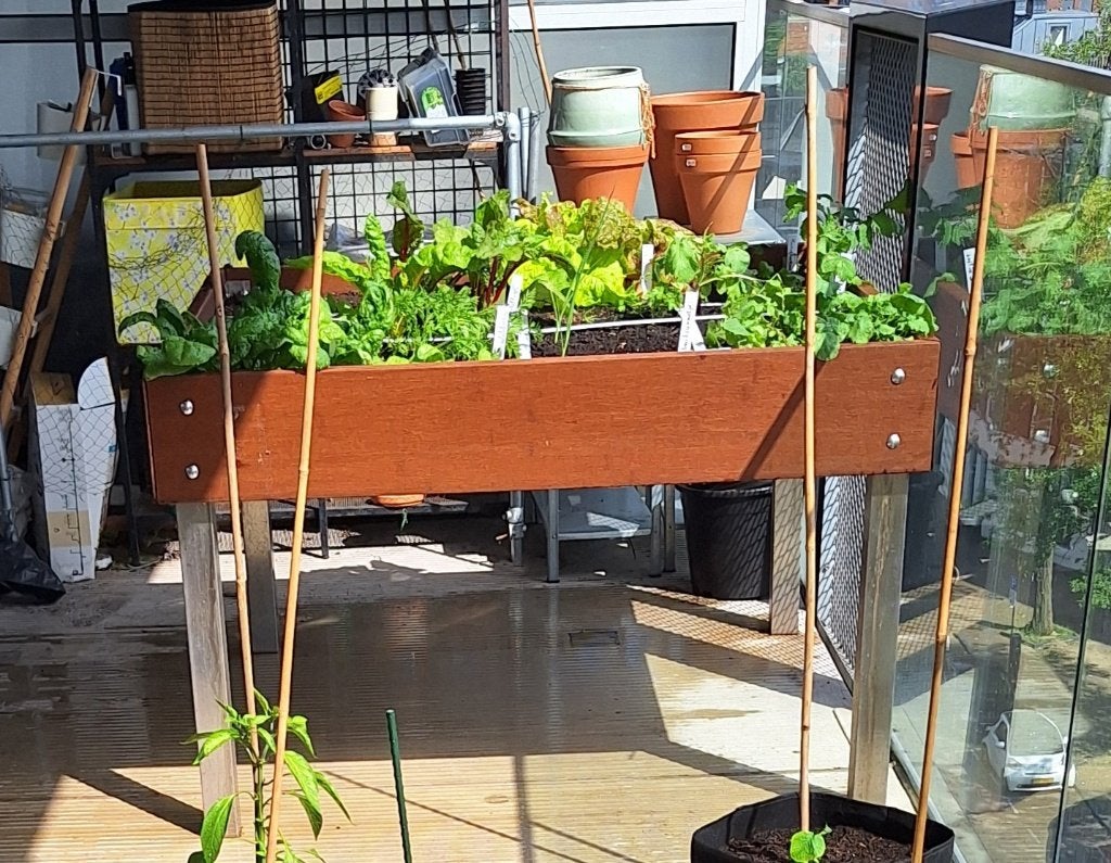 Makkelijke Moestuin, Ophalen, Gebruikt, 100 cm of meer, Balkon