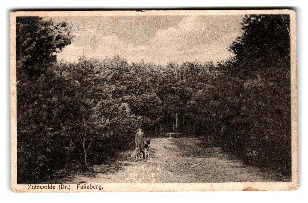 Zuidwolde, Falieberg, Verzenden, 1920 tot 1940, Gelopen, Drenthe