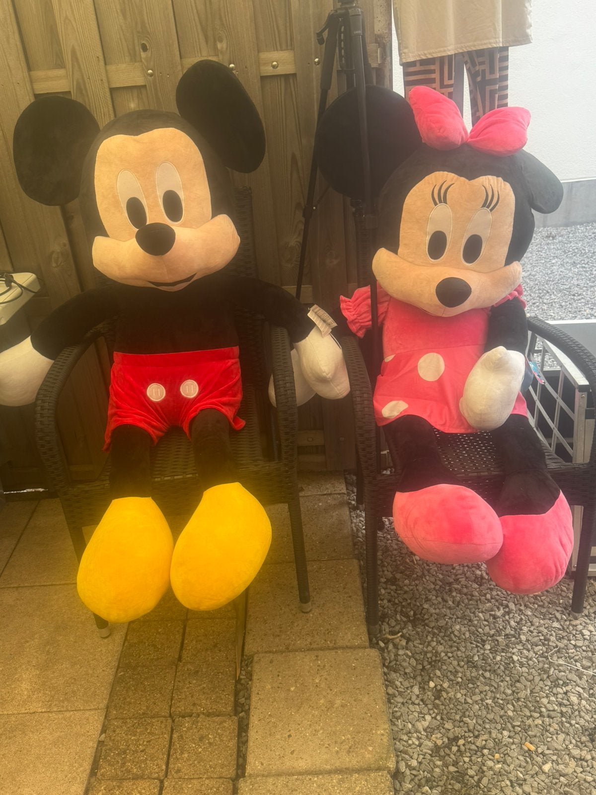 Nieuwe disney knuffels micky & mini, Ophalen, Nieuw, Overige typen