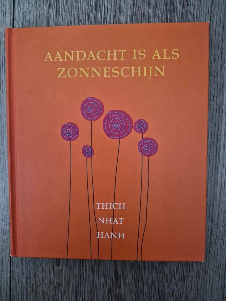 Aandacht is als Zonneschijn - Thich Nhat Hanh, Boeken, Thich Nhat Hanh, Ophalen of Verzenden, Zo goed als nieuw, Meditatie of Yoga