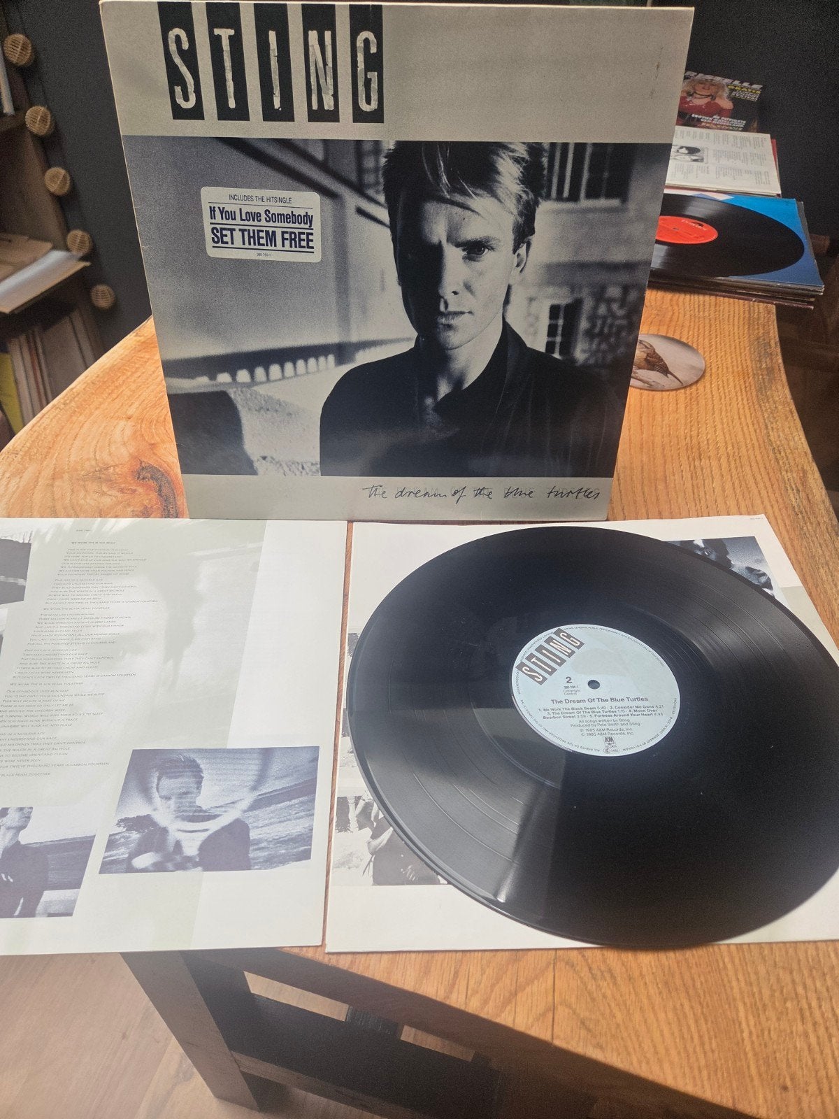 Sting - The Dream of the Blue Turtles LP (Pop, Rock), LP, Pop, Originele persing, Ophalen of Verzenden