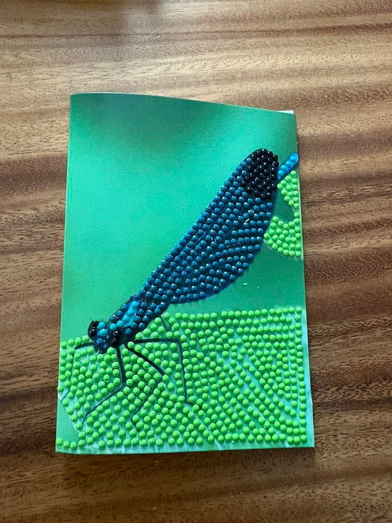 Diamond painting kaart libel, Ophalen of Verzenden, Zo goed als nieuw, Overige thema's