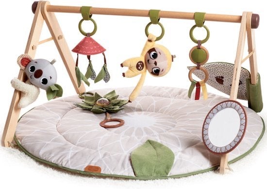Tiny Love Babygym met speelkleed, Ophalen, Zo goed als nieuw, Speelkleed, Met geluid