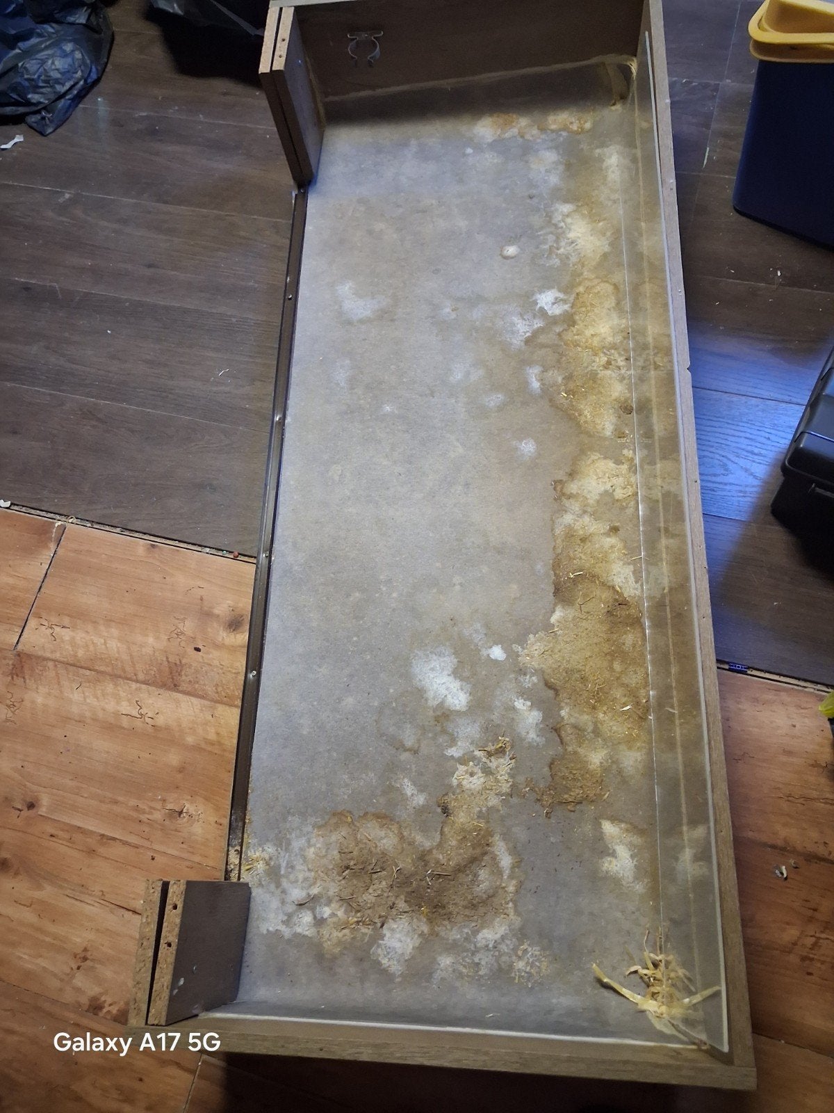 caviaverblijf, Dieren en Toebehoren, Kooi, Cavia, Ophalen, Minder dan 60 cm