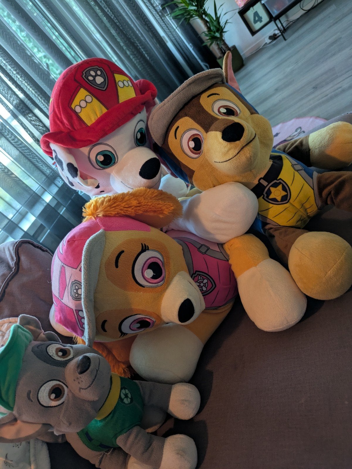 Paw Patrol Knuffels en accessoires, Ophalen, Gebruikt, Overige merken, Hond