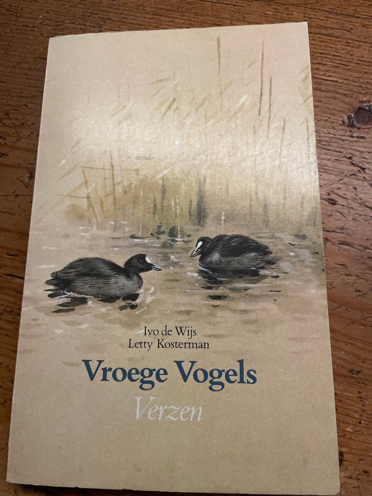 Vroege Vogels Verzen - Ivo de Wijs & Letty Kosterman, Ophalen of Verzenden, Zo goed als nieuw, Meerdere auteurs