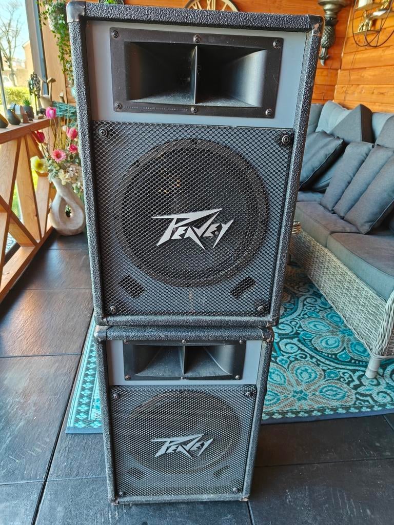 Peavey ES-12 luidsprekers, Audio, Tv en Foto, Luidsprekers, Ophalen