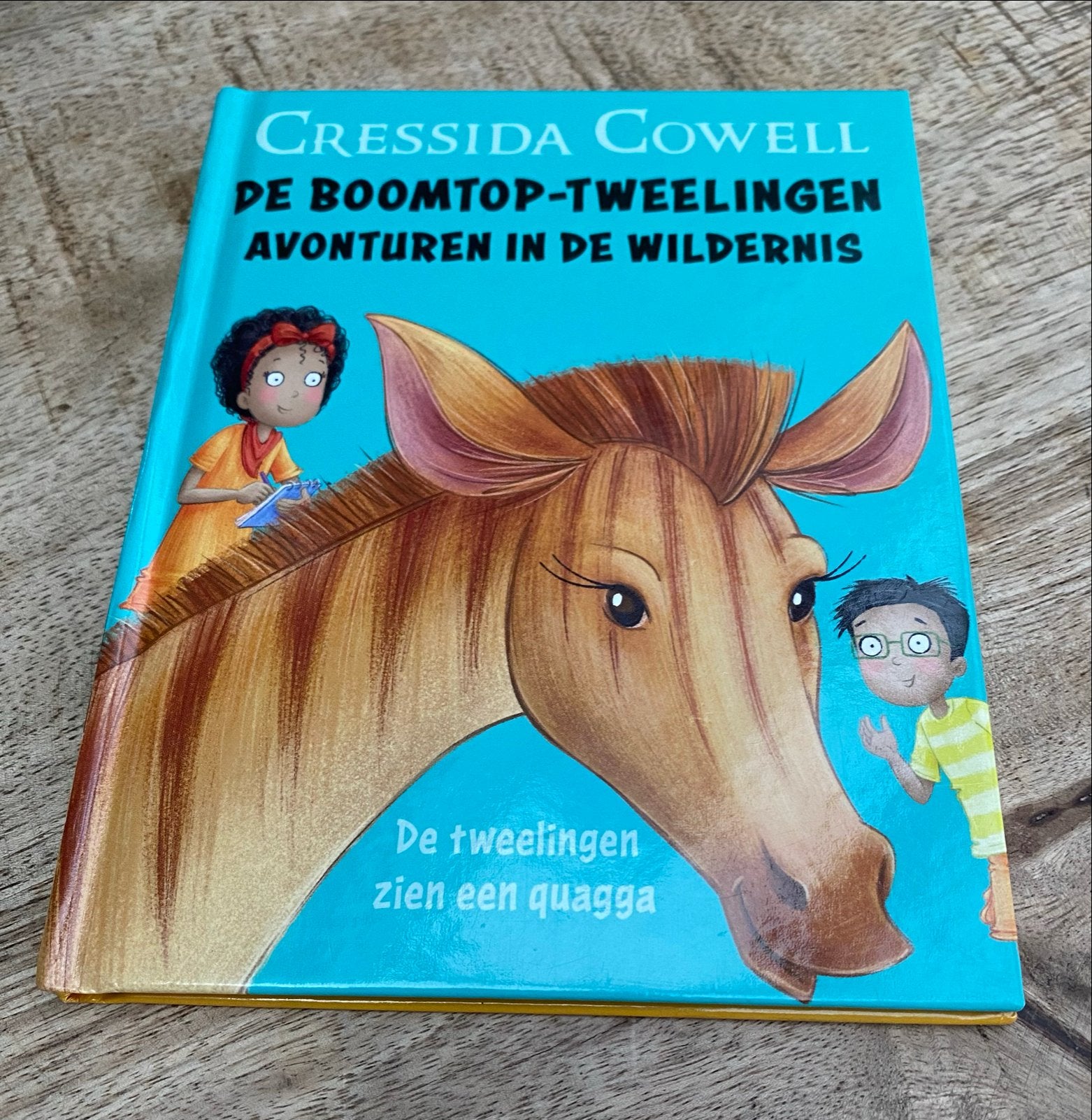 Happy Meal Readers: De Boomtop-Tweelingen, Boeken, Ophalen, Zo goed als nieuw, Fictie algemeen