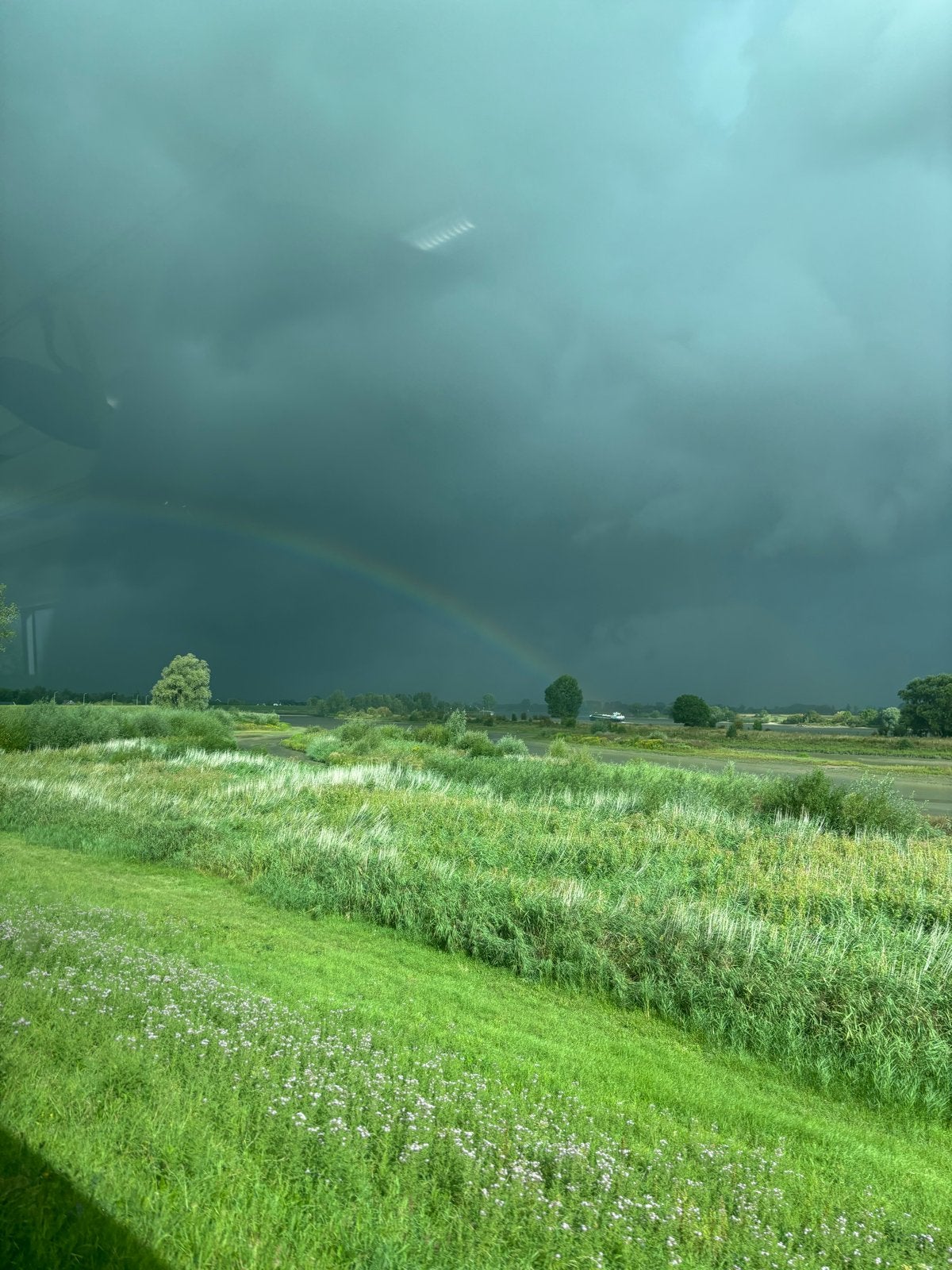 Schoonmaakster aangeboden. Interieurverzorgster