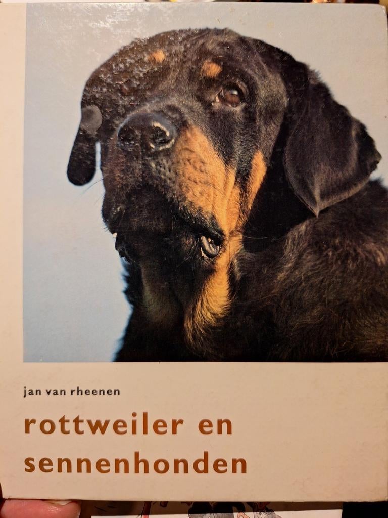 rheenen rottweiler en sennenhonden ZELDZAAM!, Ophalen of Verzenden
