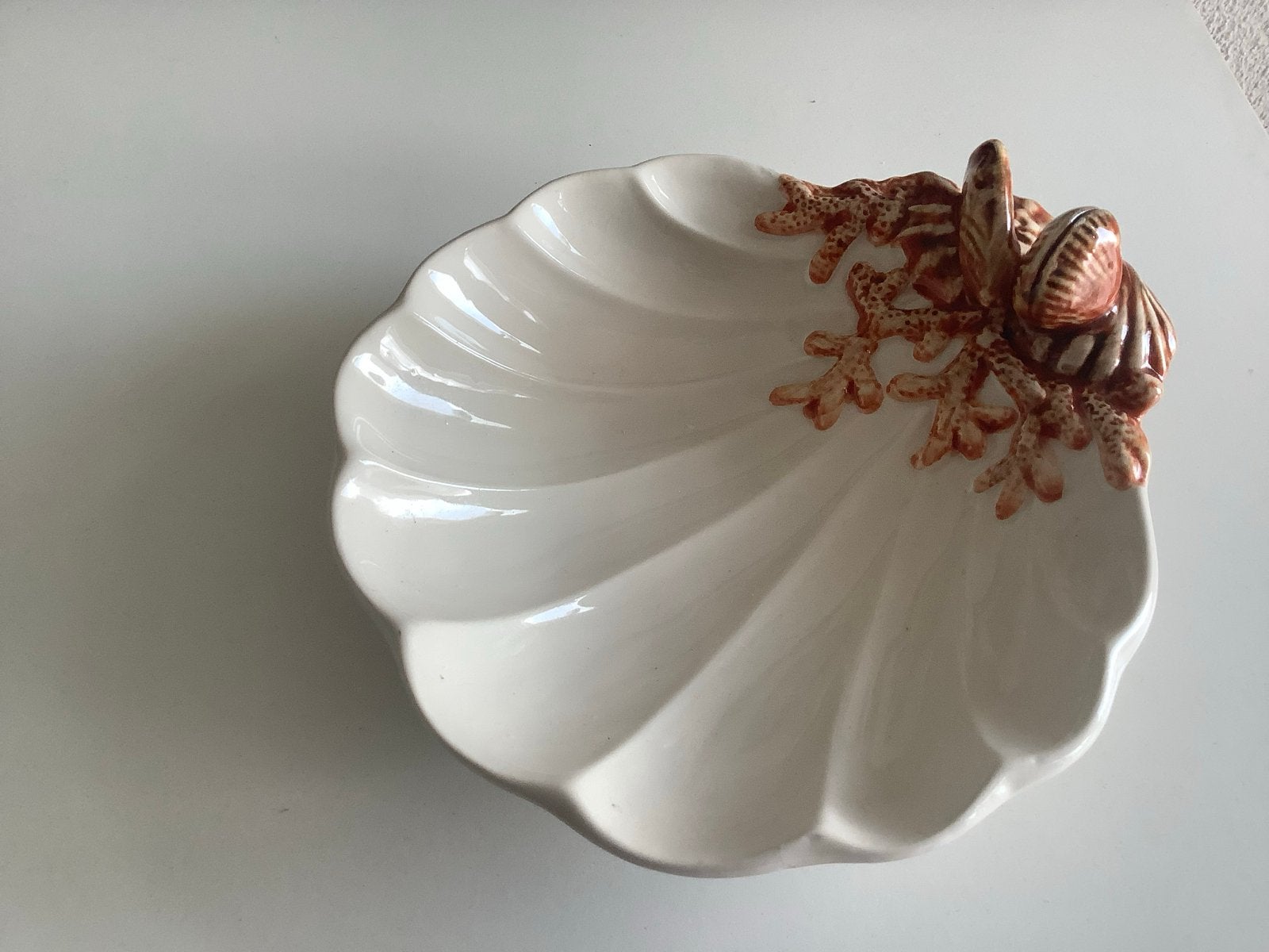 Decoratieve schelp schaal met koraal en schelpen, Ophalen of Verzenden