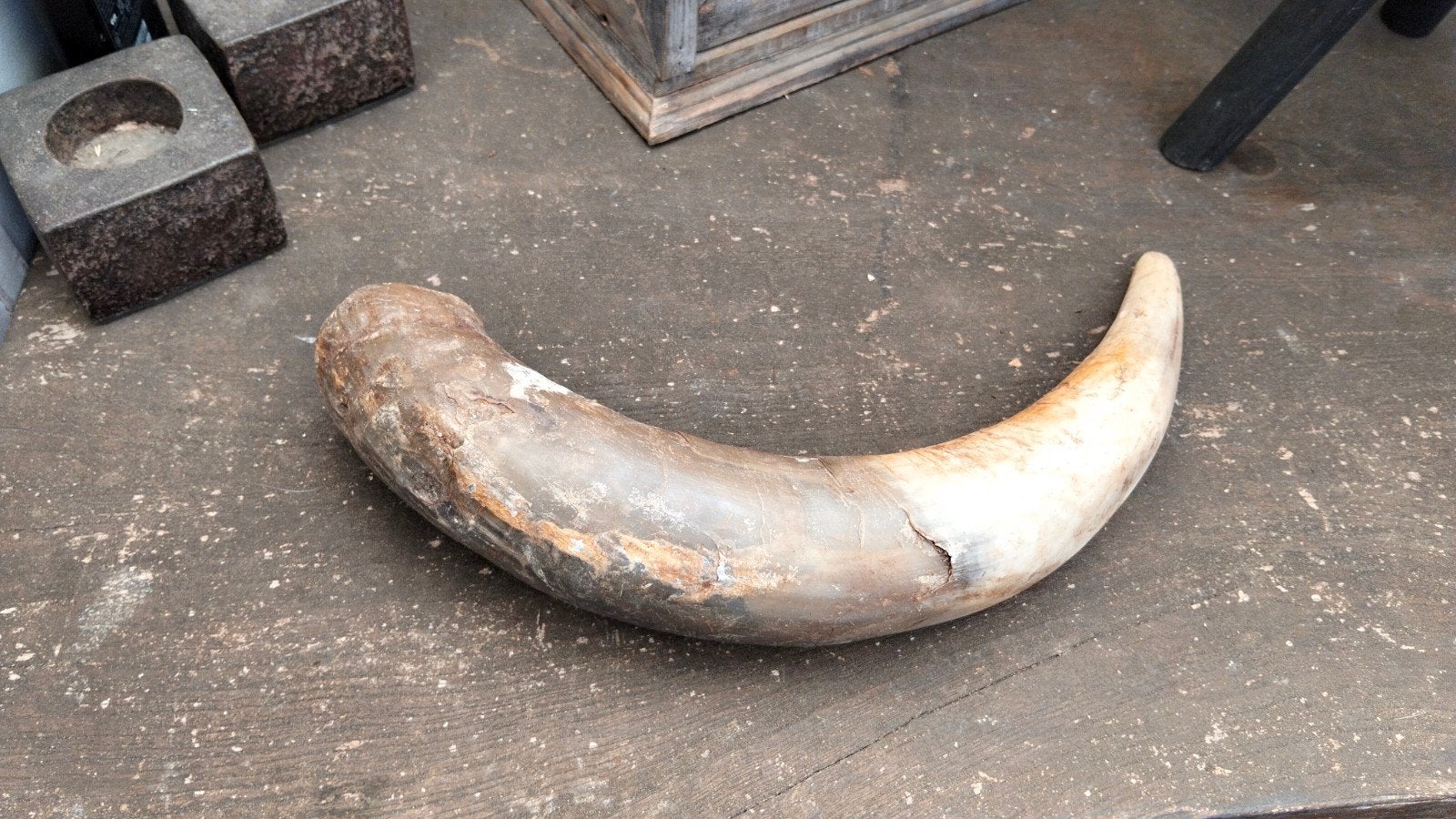 Brocante decoratieve hoorn (2), Ophalen of Verzenden