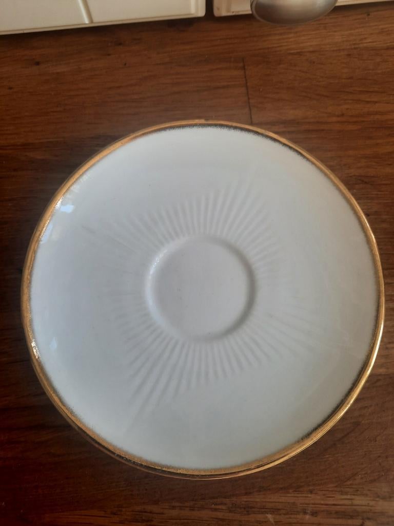 Royal Priory Dale Duke Schotel - Bone China, Ophalen of Verzenden