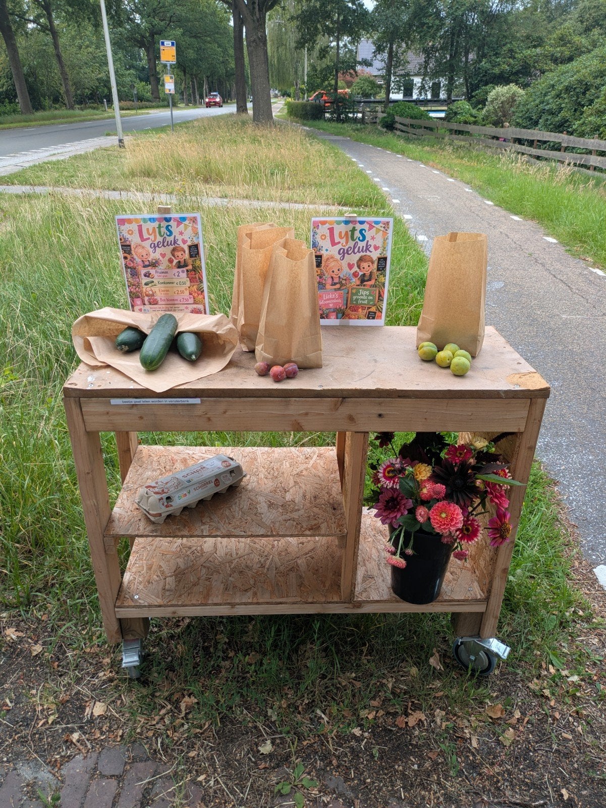 verse pruimen, geel en paars, Tuin en Terras, Planten | Fruitbomen, Ophalen, Minder dan 100 cm, Overige soorten, Zomer
