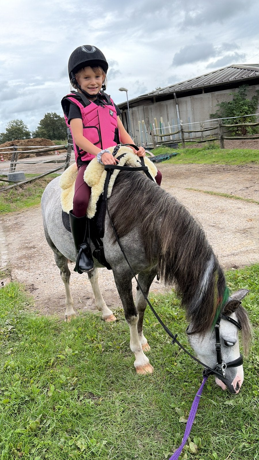 Welsh pony merrie 4 jaar perfect kinder pony, Merrie
