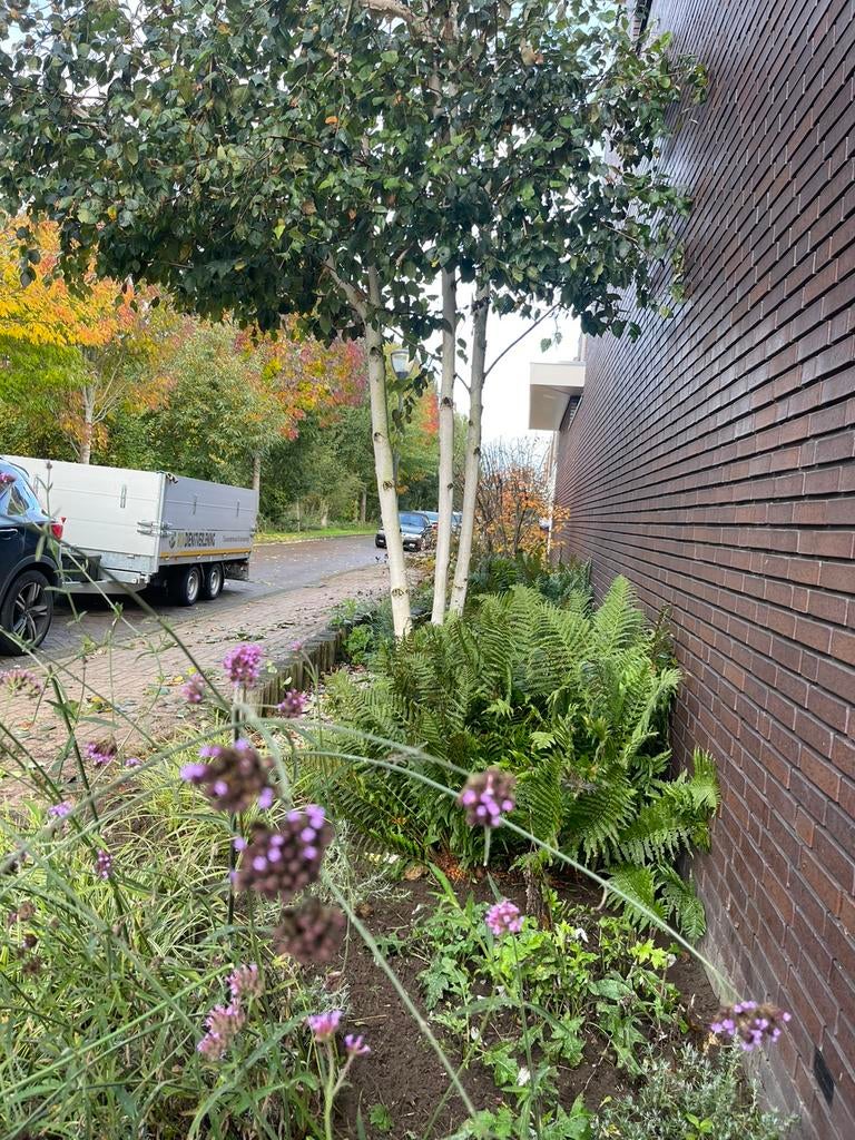 Tuinman nodig?, Diensten en Vakmensen, Tuinmannen en Stratenmakers, Bestrating