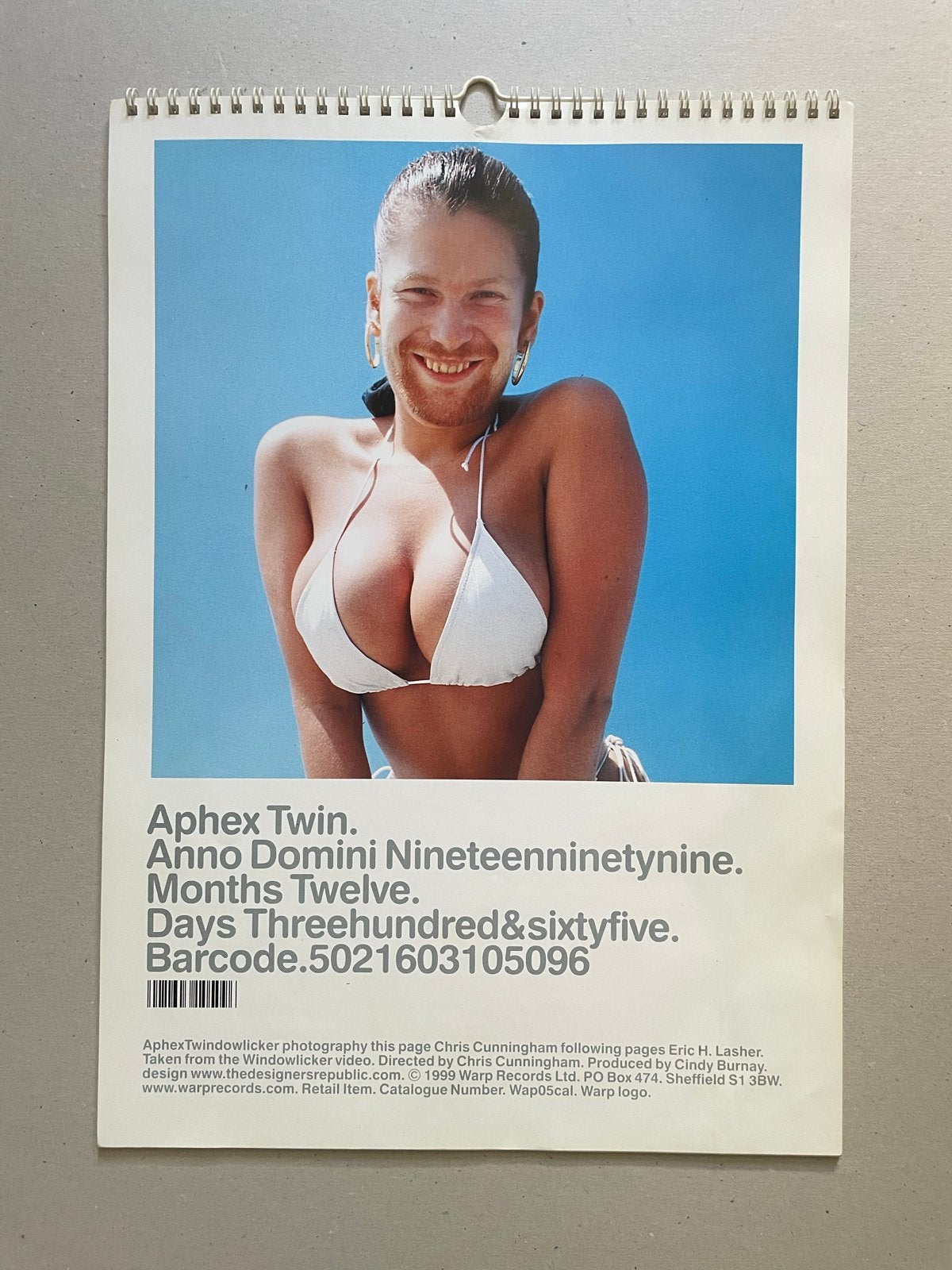 Aphex Twin windowlicker kalender, Ophalen of Verzenden, Maandkalender