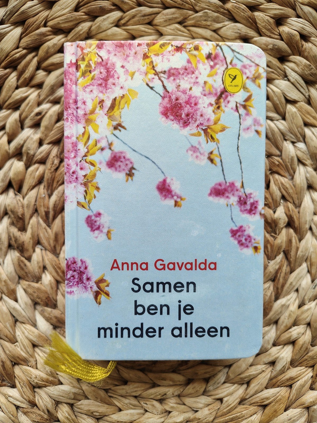 Anna Gavalda - Samen ben je minder alleen, Ophalen of Verzenden