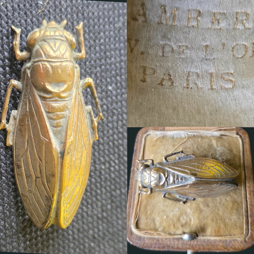Antieke Parijse lederen Bijoux doos Cicade broche, Verzenden, Koper, Broche