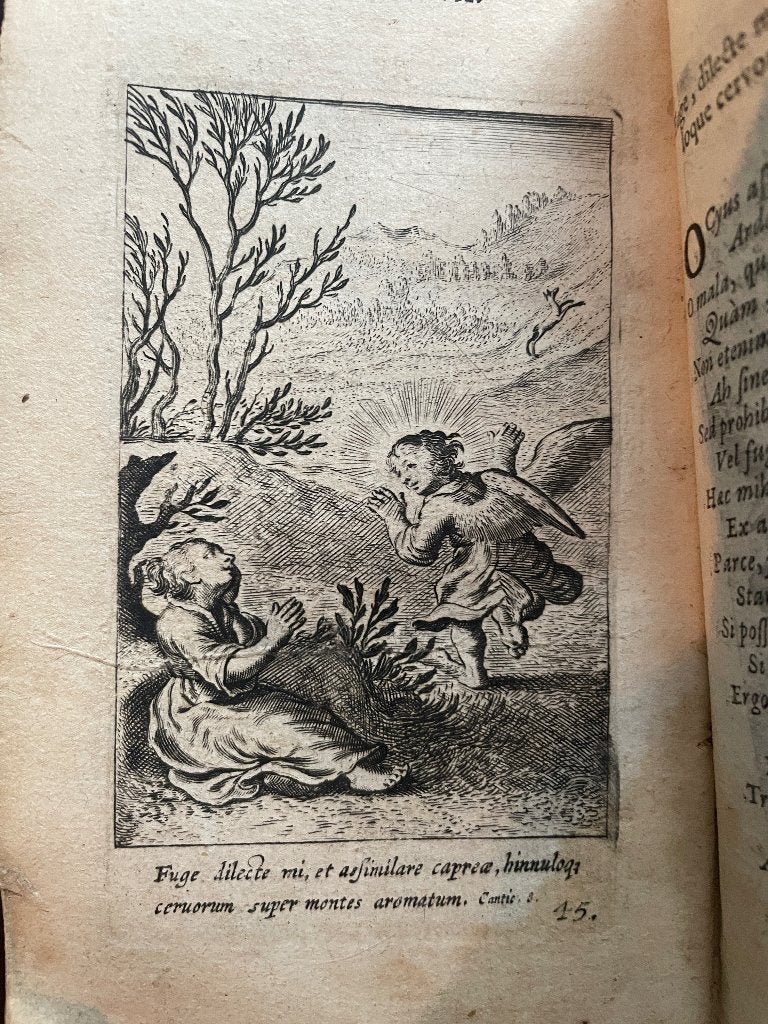 Pia Desideria - 45 gravures Boetius Bolswert - P0614, Antiek en Kunst, Antiek | Boeken en Bijbels, Ophalen of Verzenden