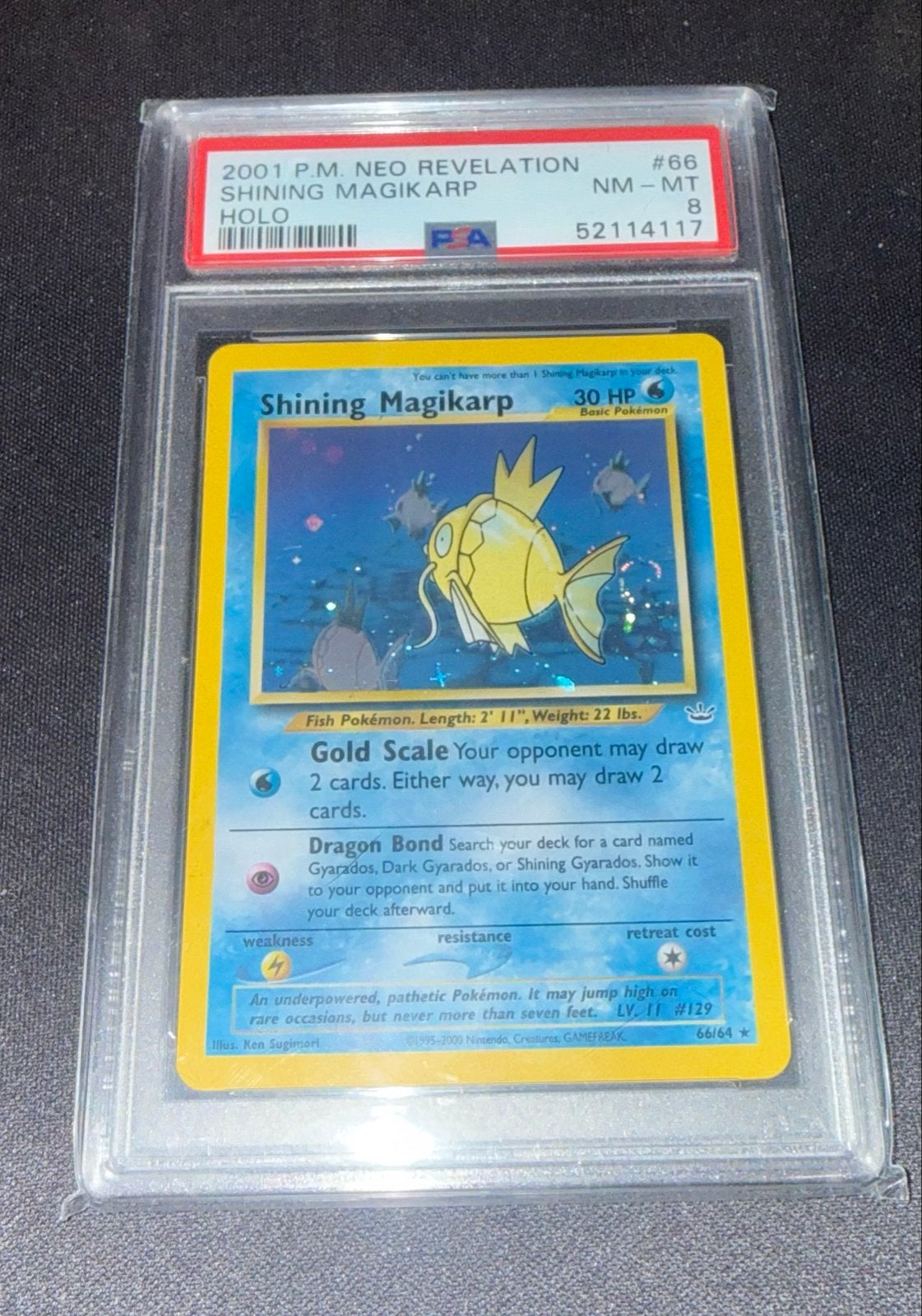 Shining Magikarp Holo PSA 8 - Swirl, Hobby en Vrije tijd, Ophalen of Verzenden, Zo goed als nieuw, Losse kaart, Foil
