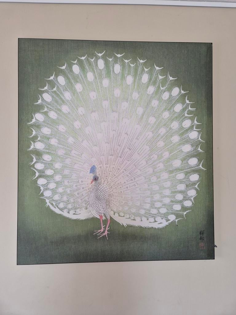 Schilderij op doek / White peacock / Muso, Antiek en Kunst, Ophalen