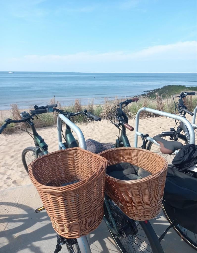 Gevlochten fietsmand voor huisdieren of spullen, Ophalen of Verzenden, Gebruikt, Fietsmand