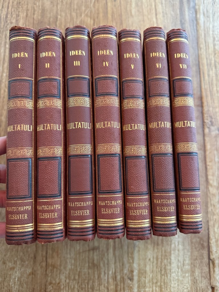 MULTATULI BOEKEN ( 10 stuks ), Boeken, Gelezen, Nederland, Multatuli, Ophalen of Verzenden