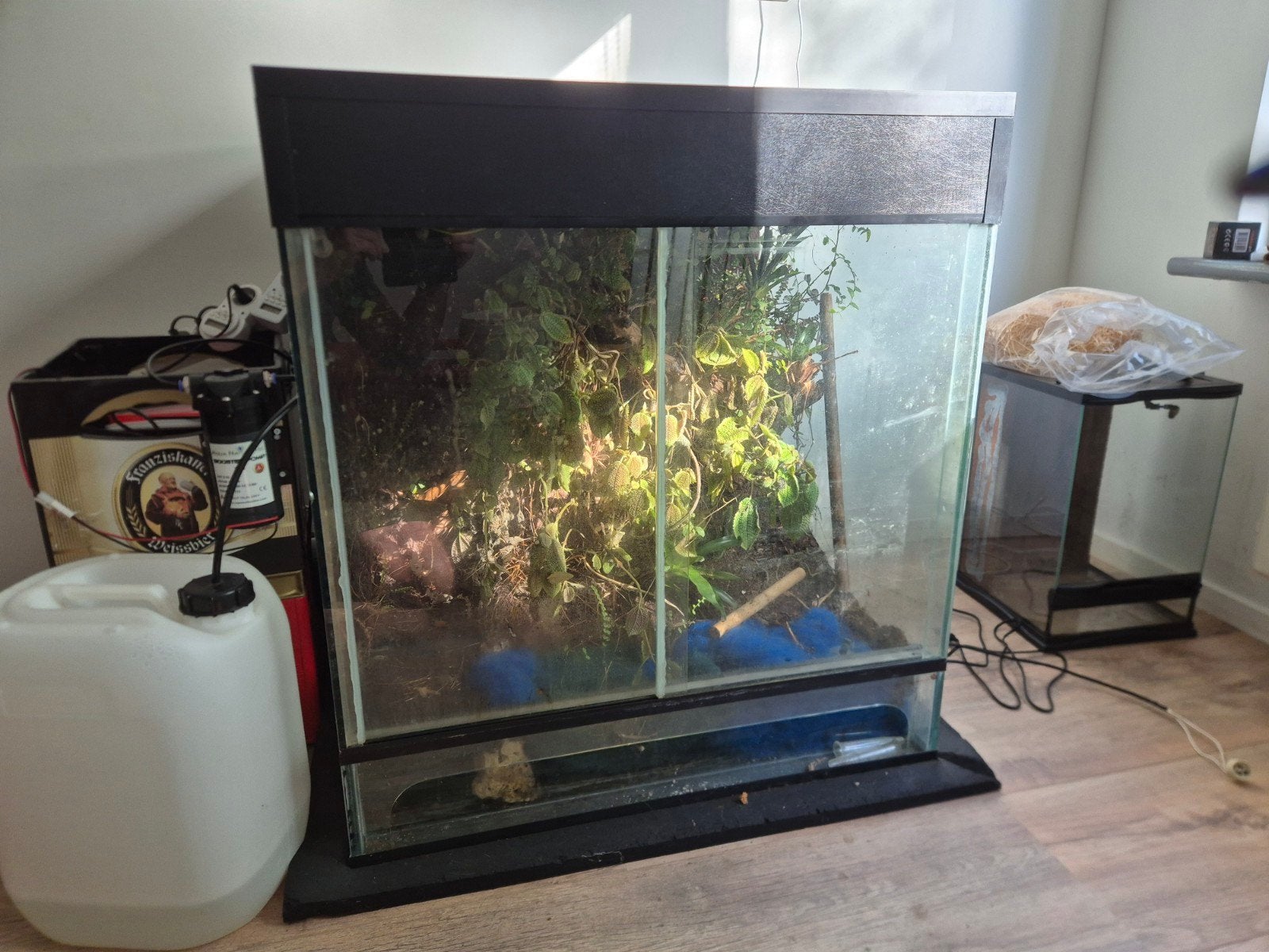 paludarium, Ophalen, Gebruikt, Terrarium of Paludarium